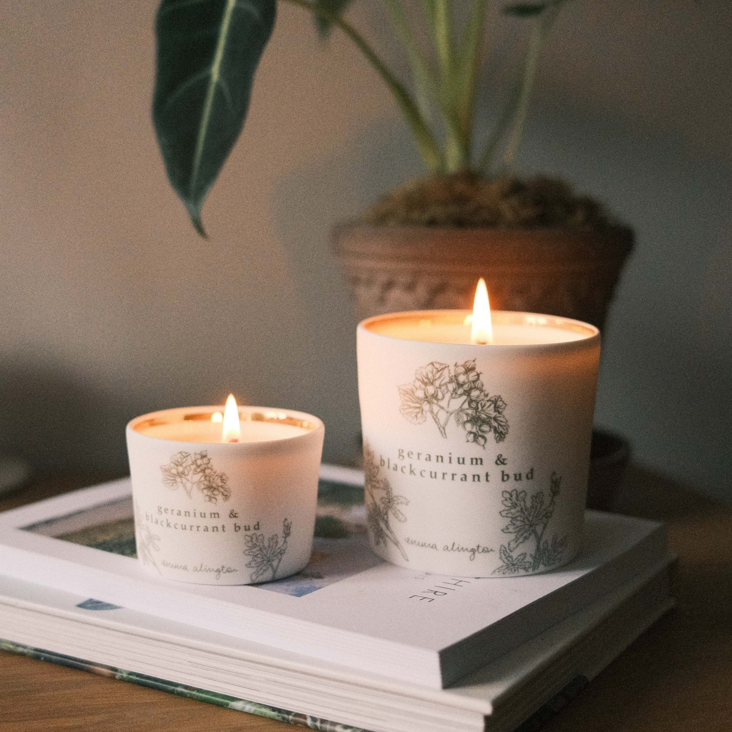 Emma Alington large luxury scented candle - Geranium and Blackcurrant Bud